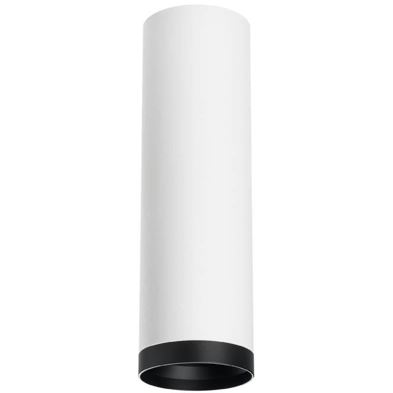 Накладной светильник Lightstar Rullo R64963487 (216496+203487)