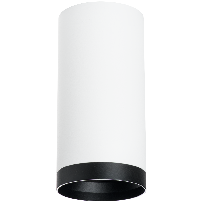 Накладной светильник Lightstar Rullo R64863487 (216486+203487)