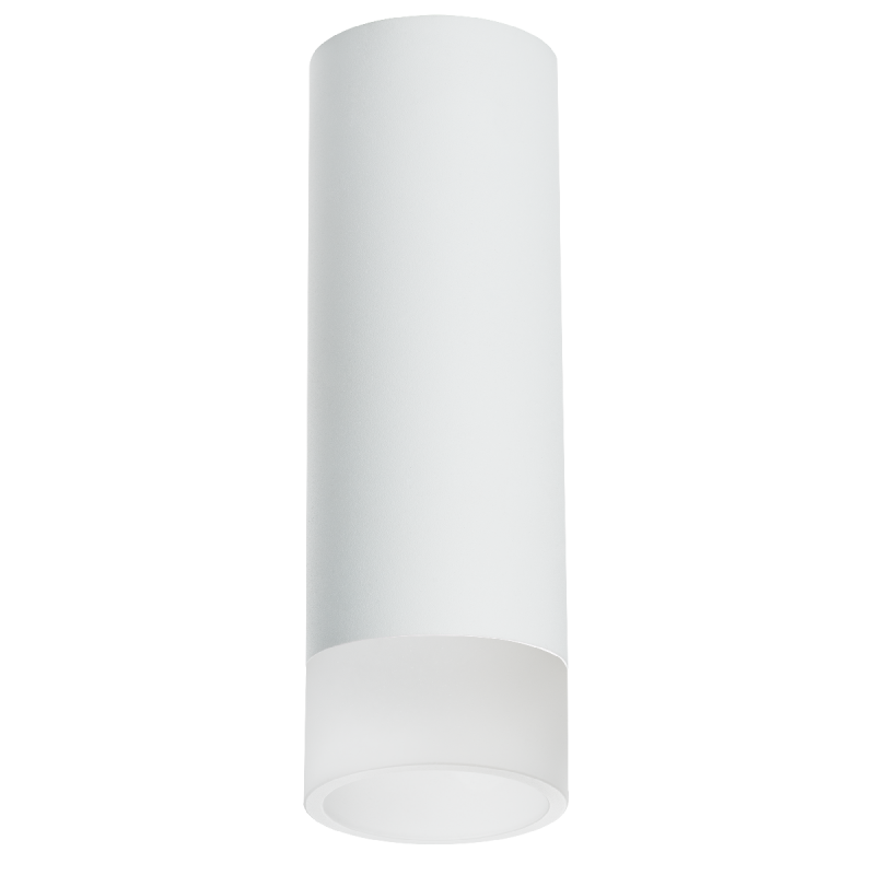 Накладной светильник Lightstar Rullo R48631 (214486+202431)