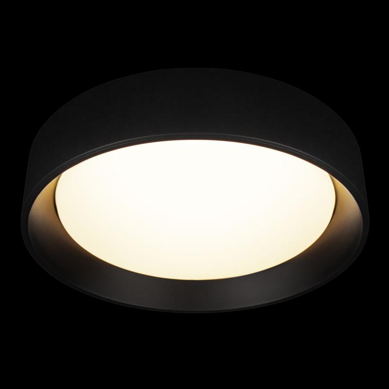 Потолочный светильник Loft IT Coin 10202 BB