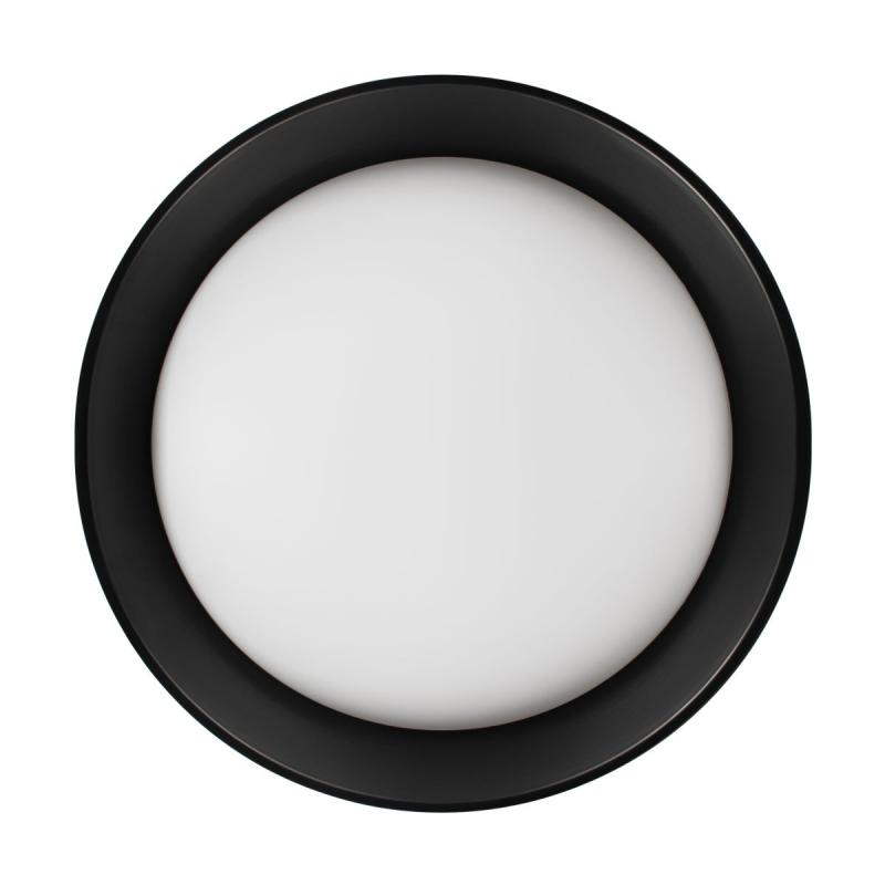 Потолочный светильник Loft IT Coin 10202 BB