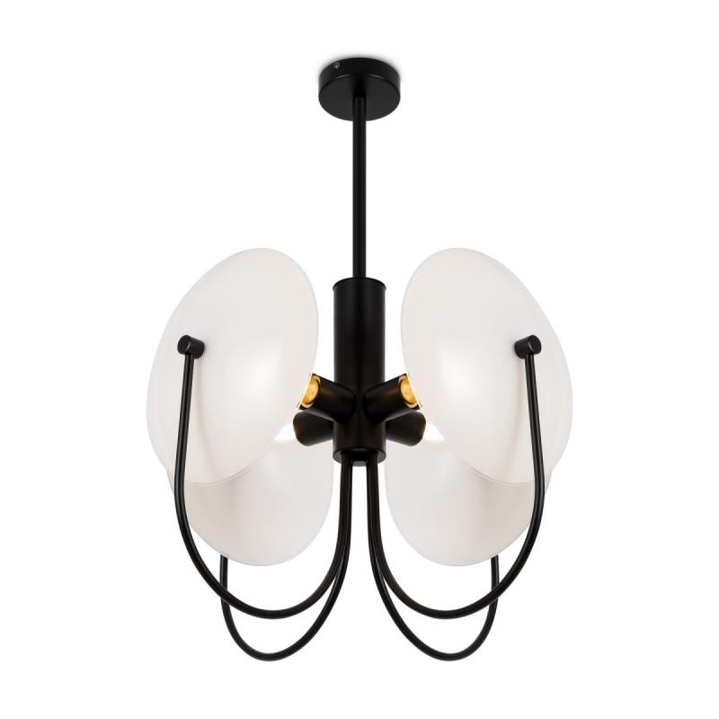 Потолочный светильник Freya Ellipse FR5320PL-04B